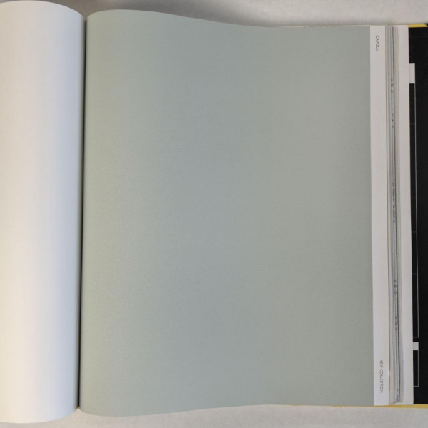 Andrea Rossi Cavolli 54418-11 Andrea Rossi Cavolli 54418-11