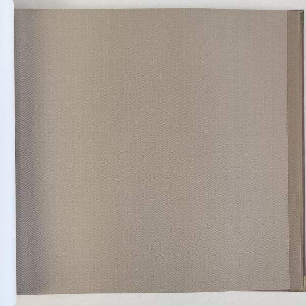 Alessandro Allori Bruni RBN 1002-10 Alessandro Allori Bruni RBN 1002-10