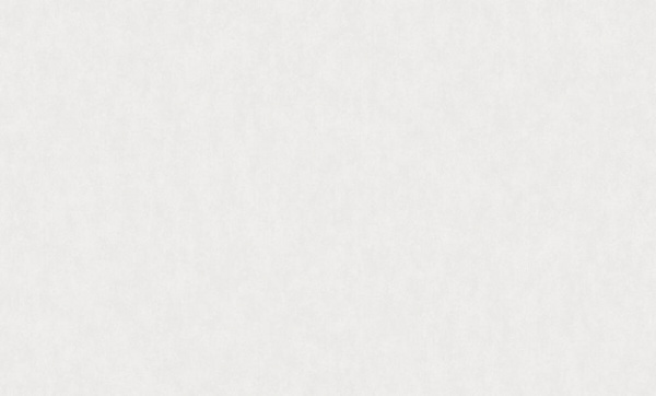 Rasch Bright Whisper W 190013