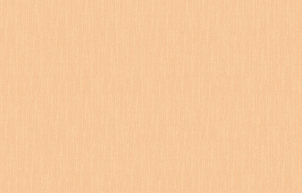 Loymina Shade SD2 003_2