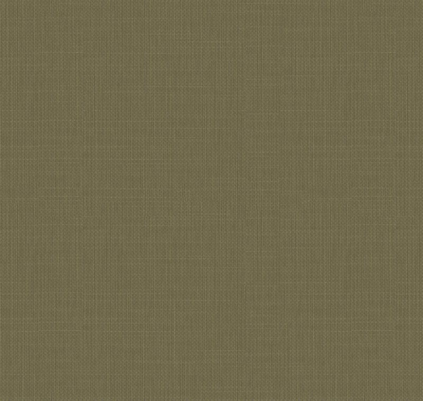 Loymina Gallery Classic GC5 005 1